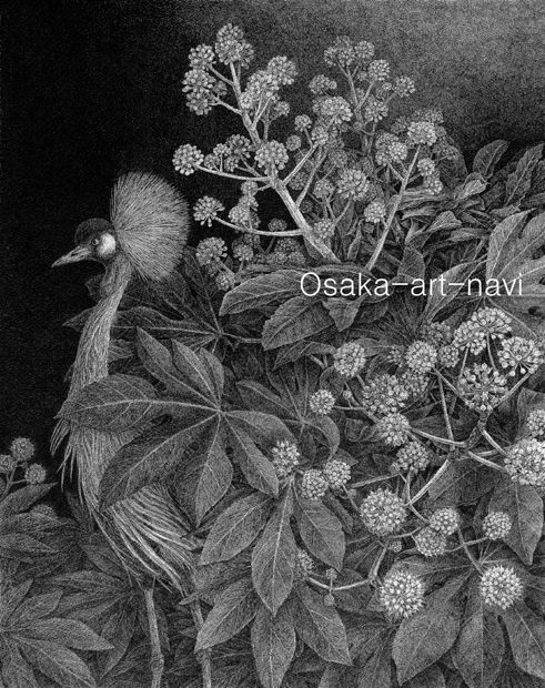 画像1: 【ペン画】『 Japonesque  冬』－日本原産の植物を描く－ヤツデ もとゆきこ