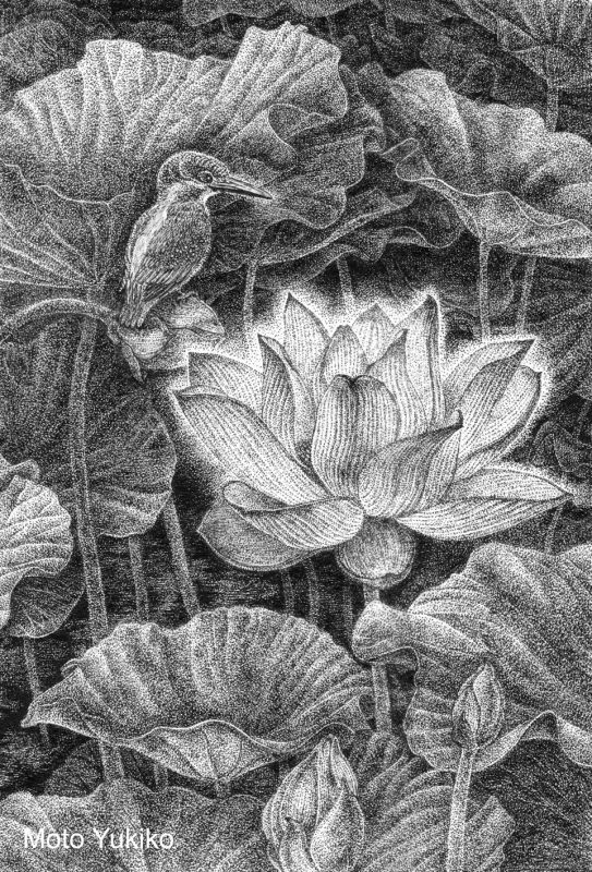 画像1: 【ペン画】『 Lotus 』 もとゆきこ